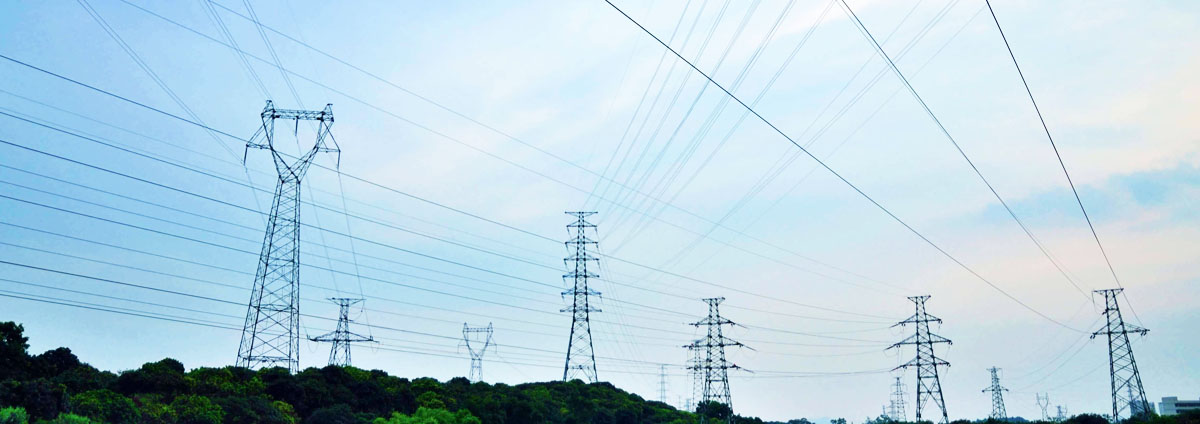 智能驅(qū)動(dòng)，未來已來 榮威電子工具的市場布局與銷售策略解析